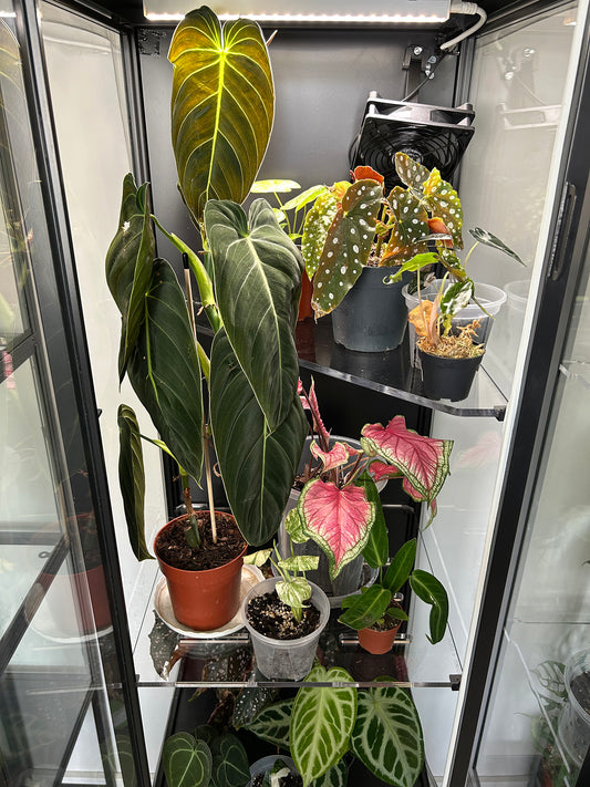 Shelves for Rudsta Tall