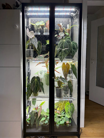 Shelves for Milsbo Tall