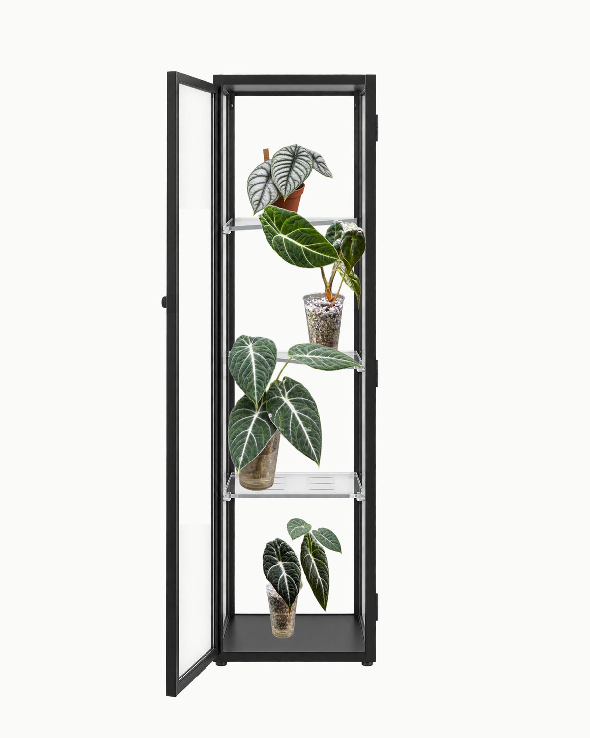 Shelves for Blaliden
